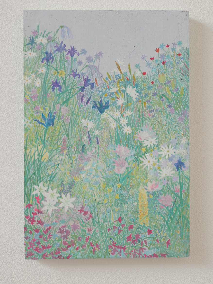 鸢尾花