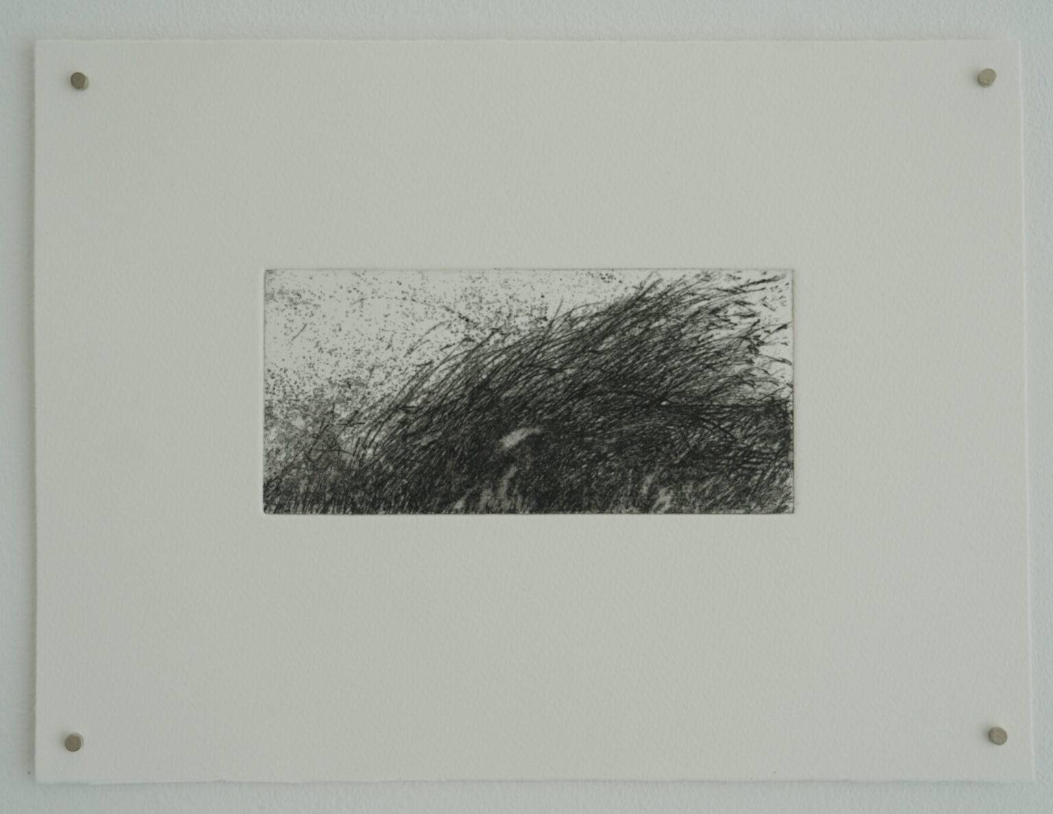 Grass series 2