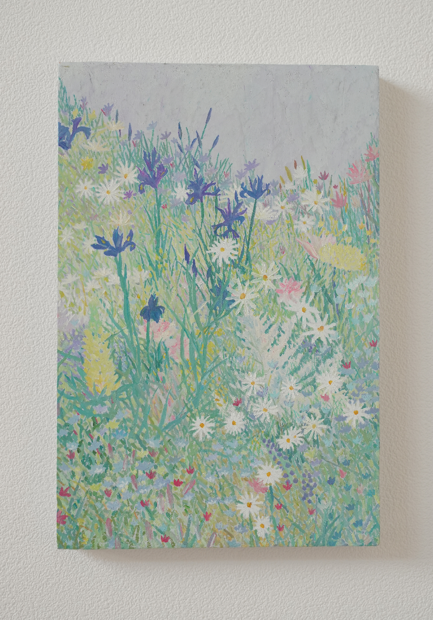 鸢尾花