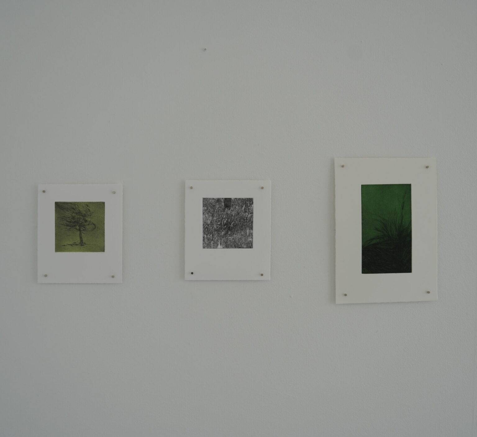 Grass Series 2