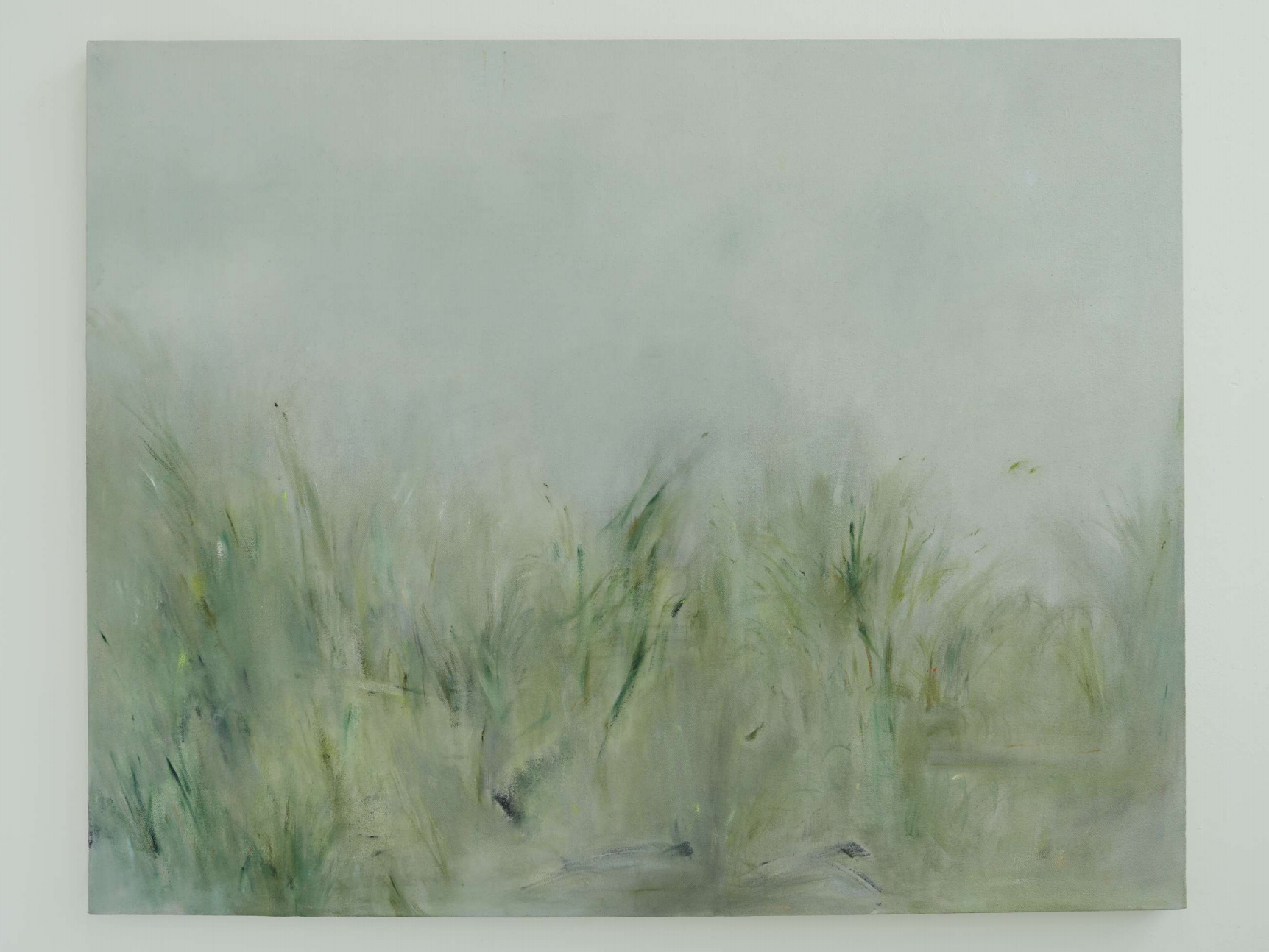 Grass Series 1