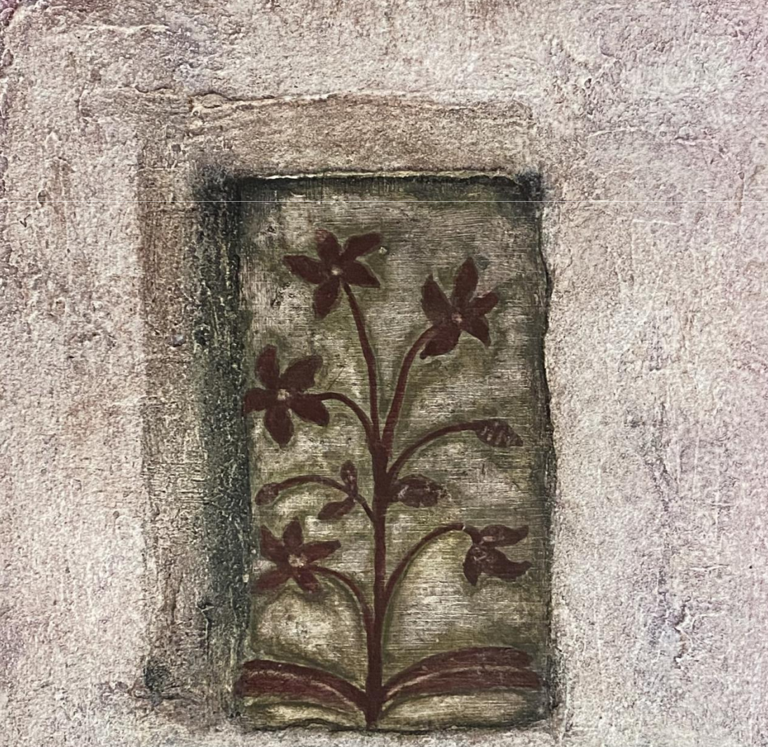 苔花