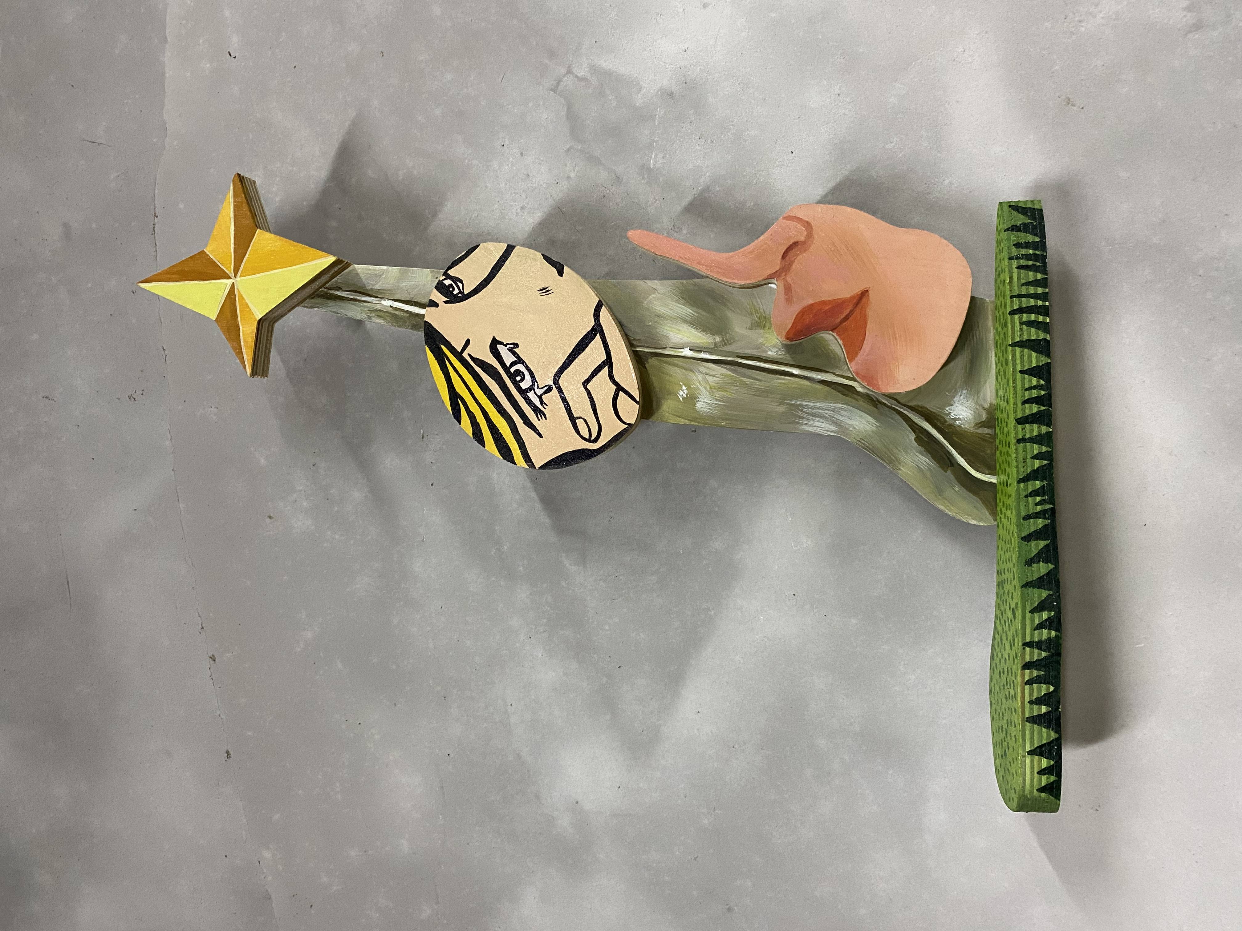 星芒与泪
