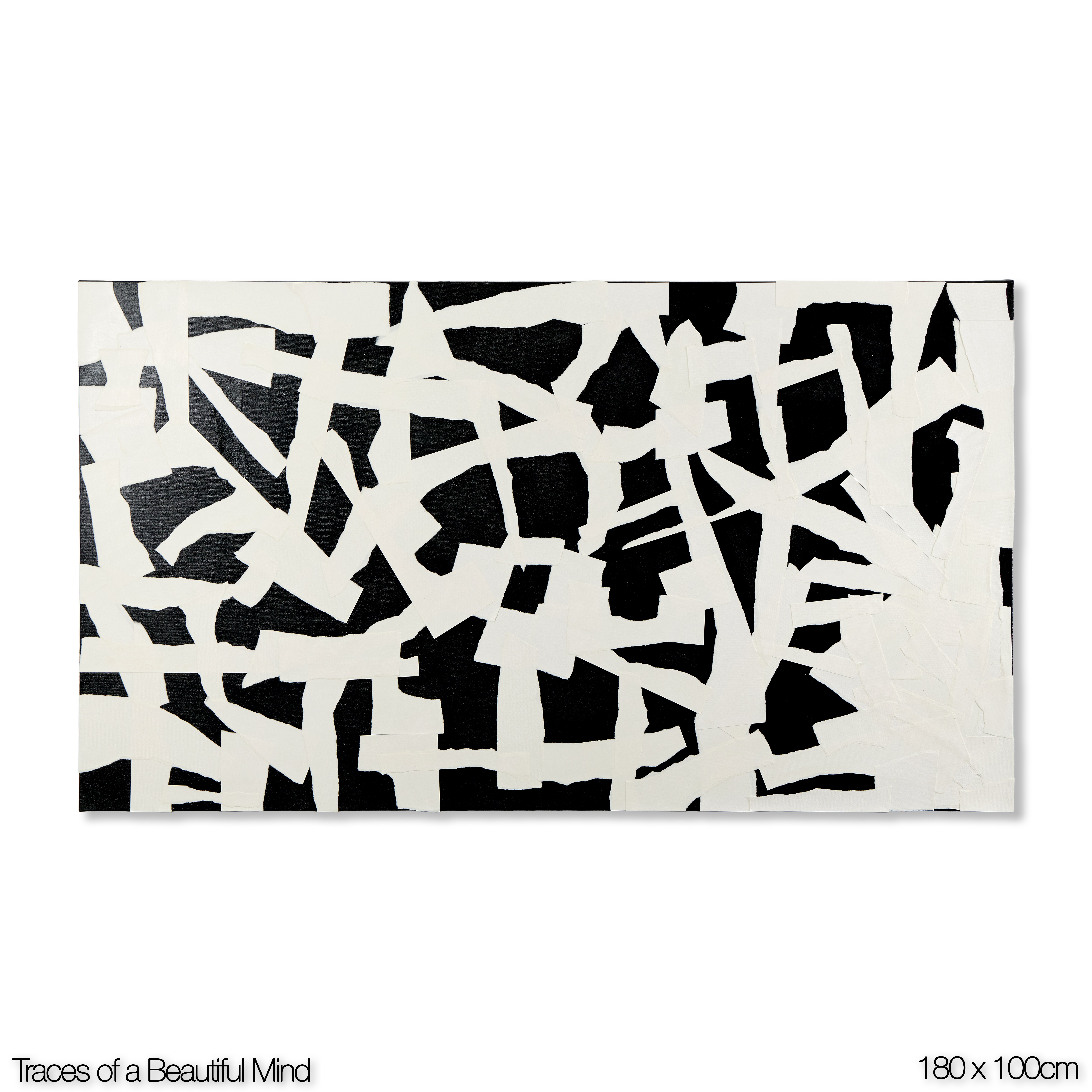 Traces of a Beautiful Mind
