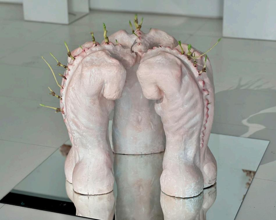 春芽