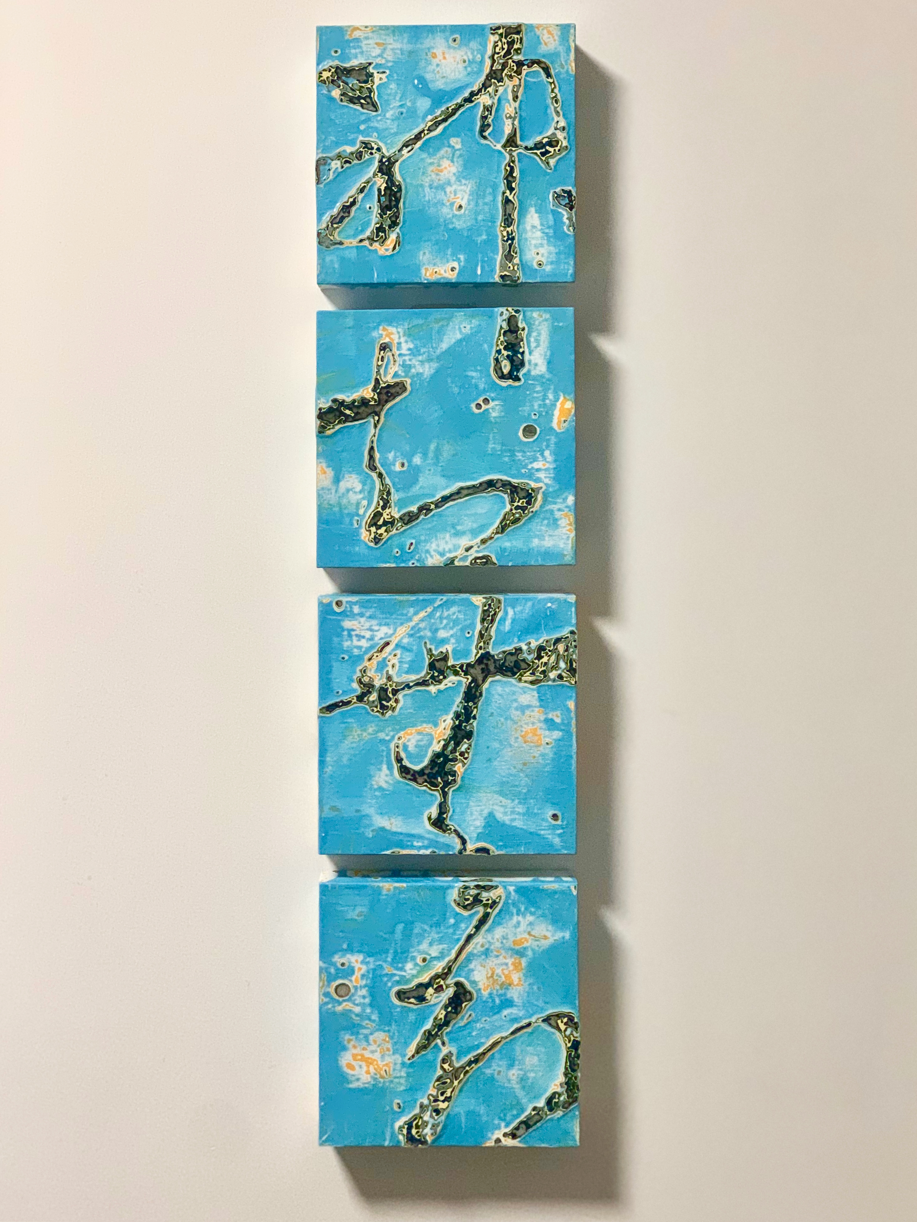szen zi wu zi