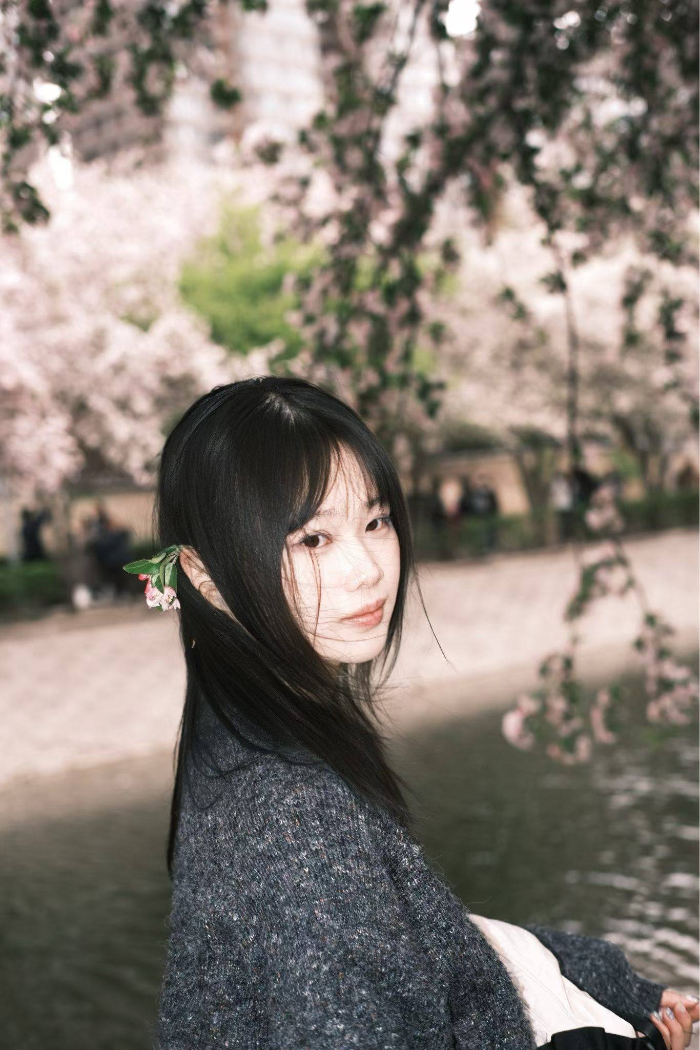 碗碗