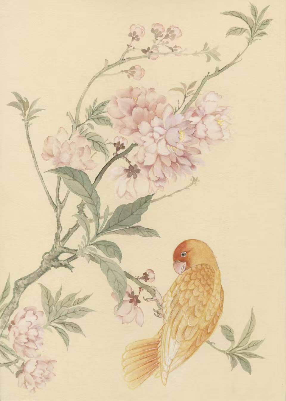 花鸟系列作品