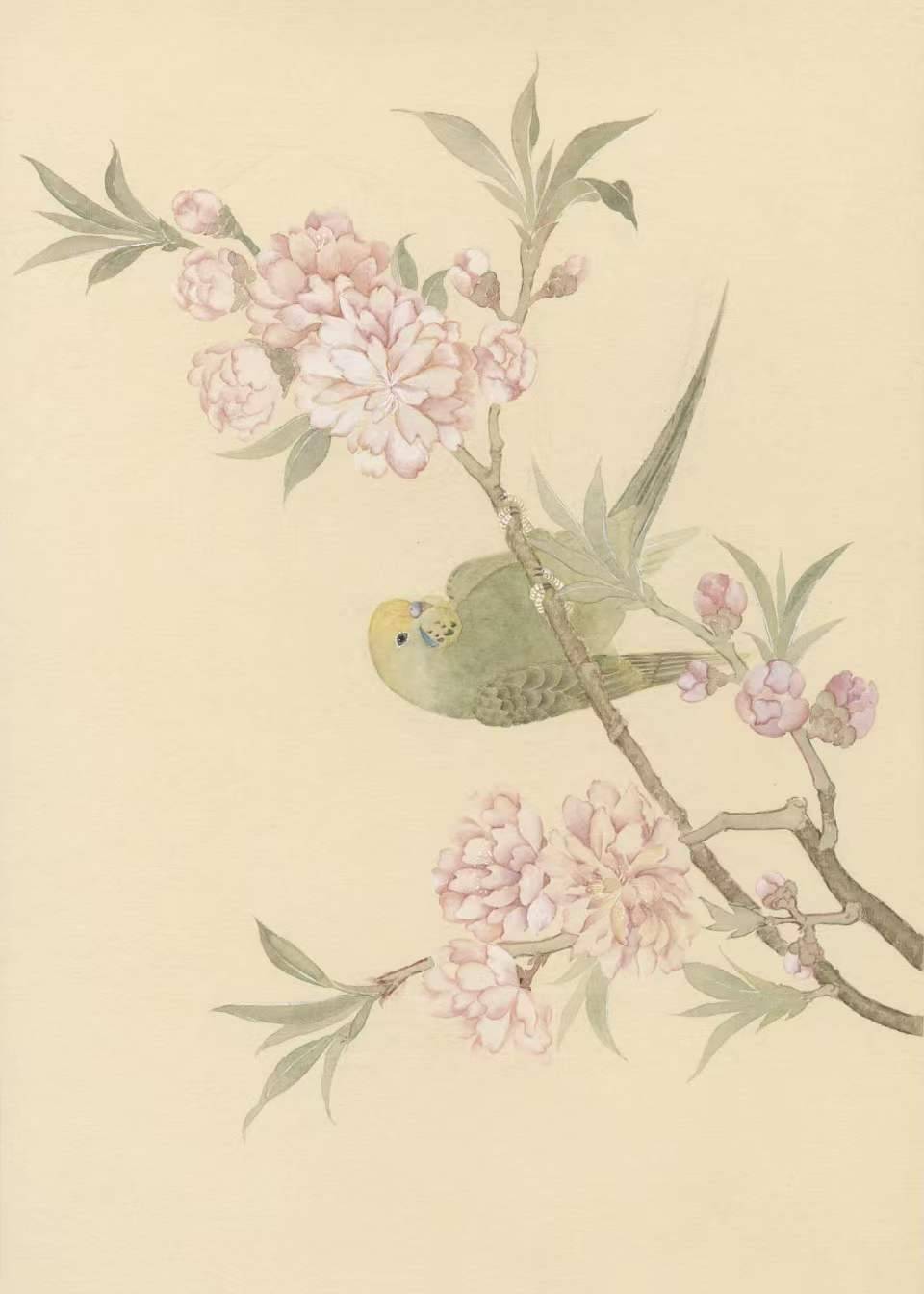 花鸟系列作品 - 图片 2