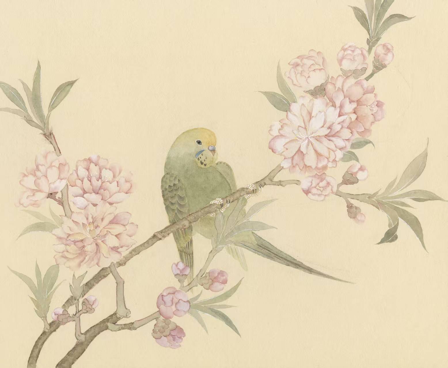 花鸟系列作品 - 图片 3