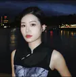 黄菊