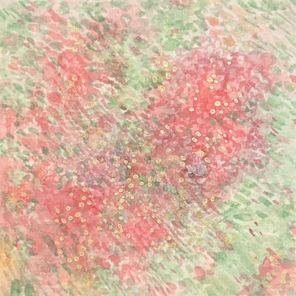 《花落雨停》
