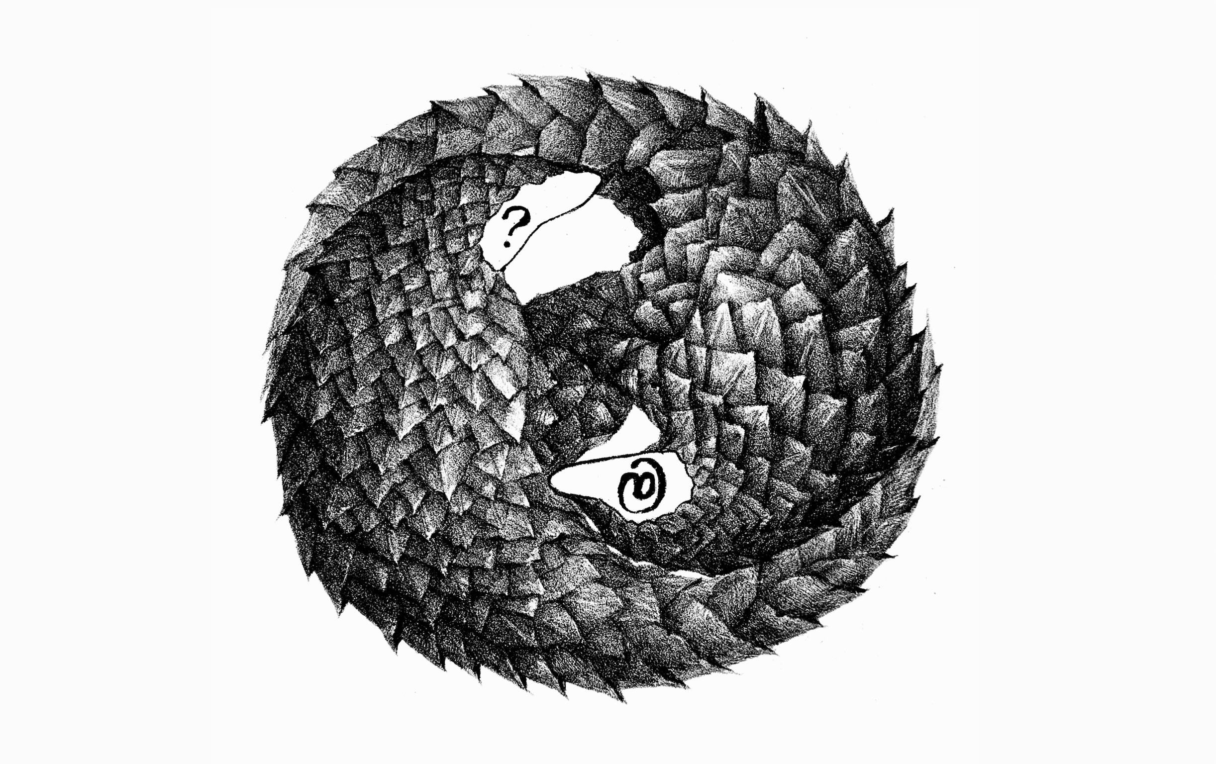 伪装者(二）