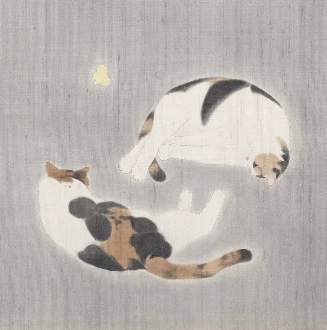 花猫 - 图片 3