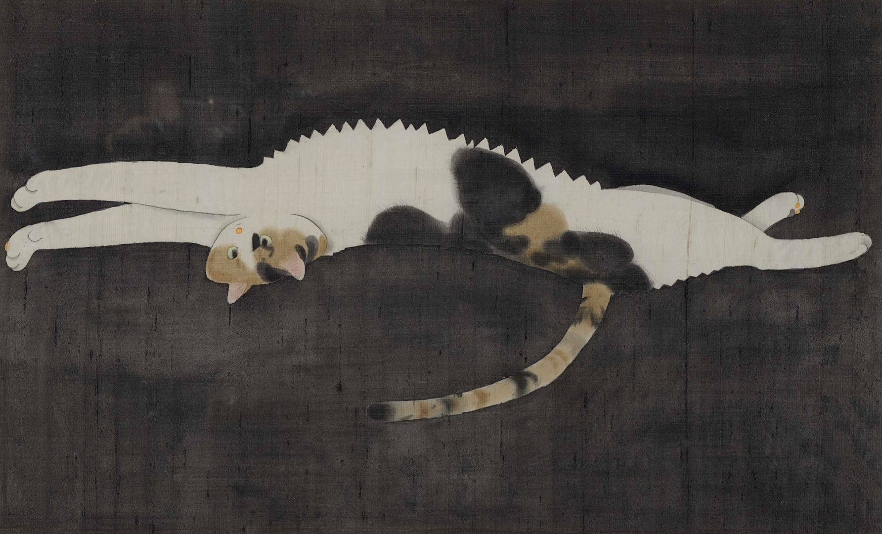 花猫 - 图片 5