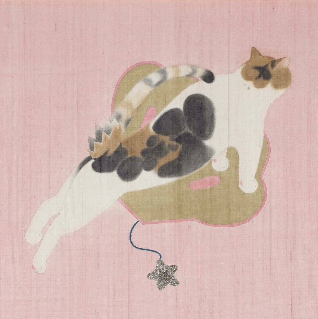 花猫