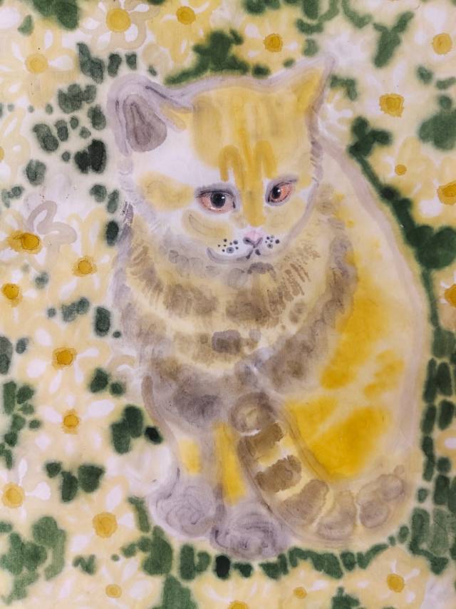 猫