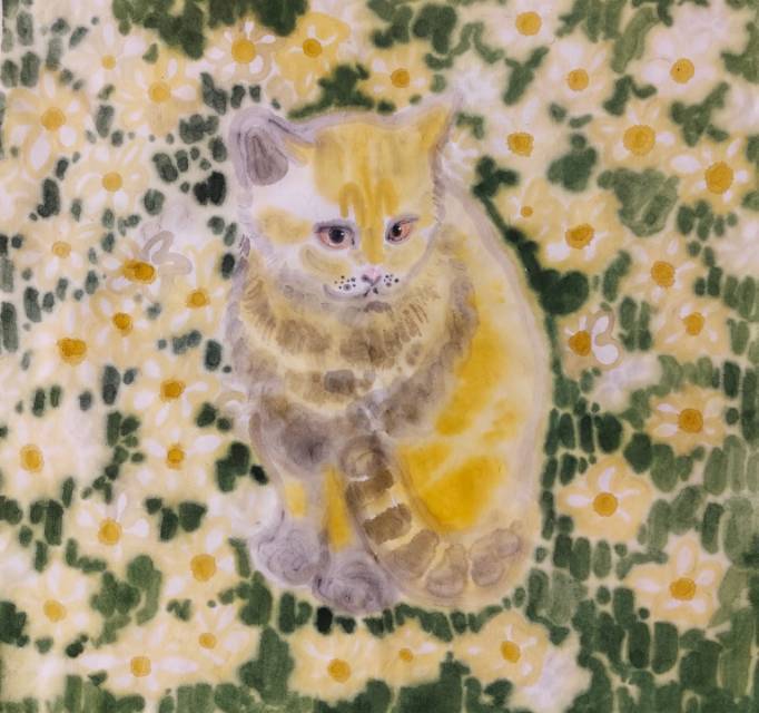 猫 - 图片 2