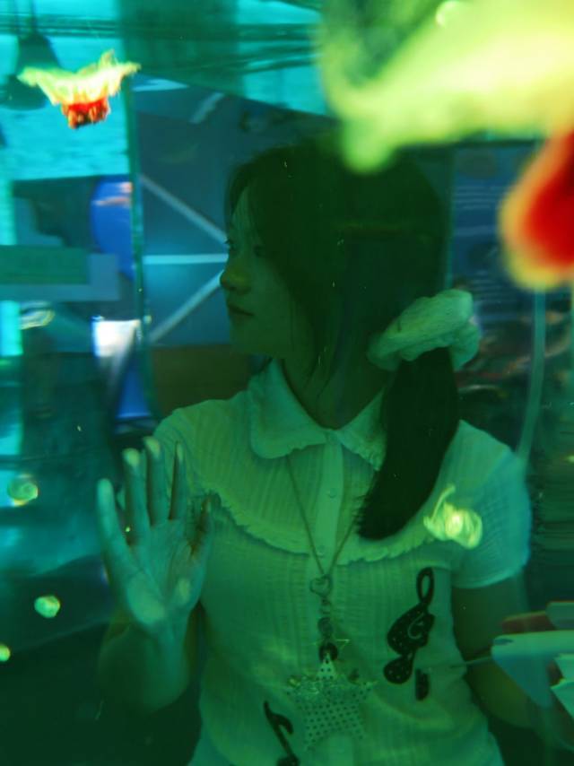 刘沁楹