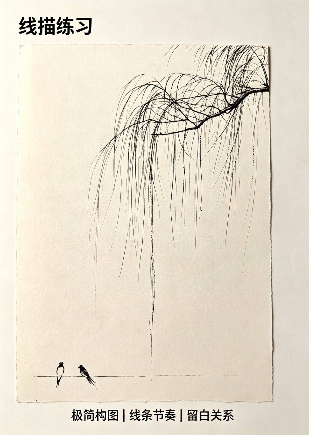 疏柳双栖